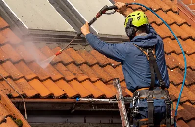 Démoussage et hydrofuge de toiture à Guizengeard